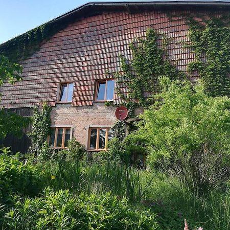 Ferien In Der Scheune Dettmannsdorf Exterior photo